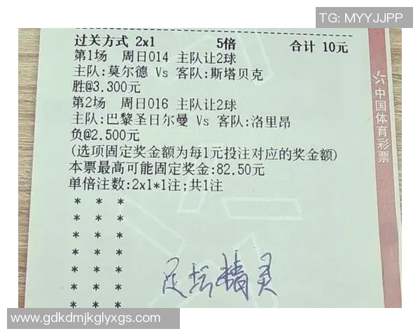 2月4日法甲焦点战里昂迎战巴黎圣日耳曼争夺积分榜优势