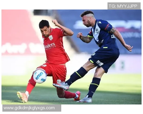 阿德莱德与墨胜利比赛前瞻及比分预测分析详解